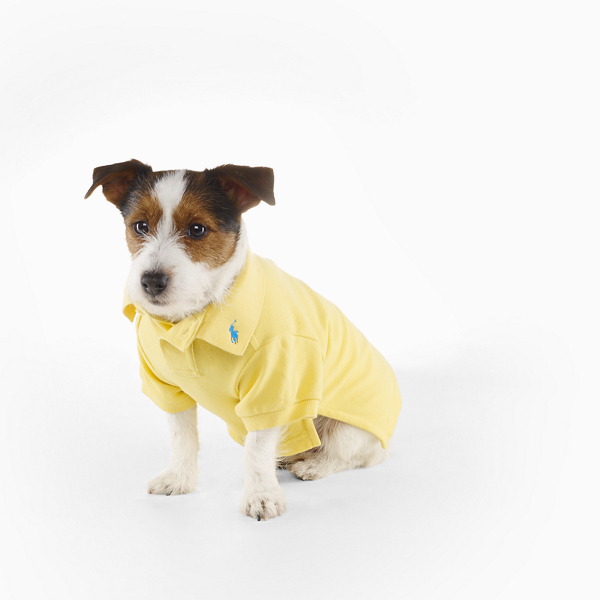 Oasis Yellow Basic Dog Polo Ralph Lauren Pet 1