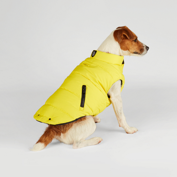 Lemon Crush Racer Dog Vest Ralph Lauren Pet 2