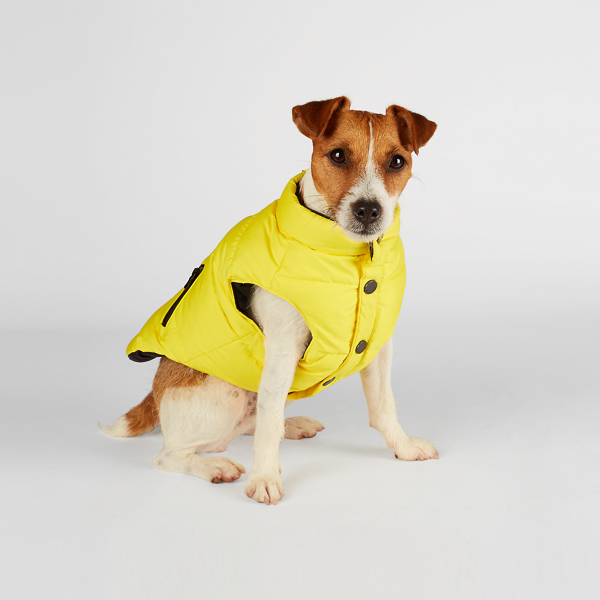 Lemon Crush Racer Dog Vest Ralph Lauren Pet 1