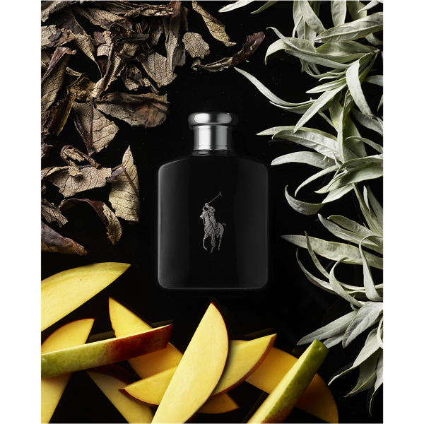 Polo newest Black by Ralph Lauren cologne 4.2