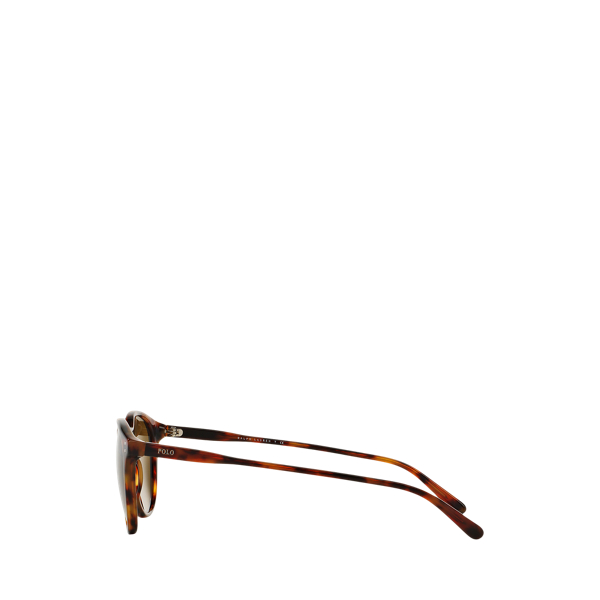 Shiny Havana Jerry Heritage Round Sunglasses Polo Ralph Lauren 3