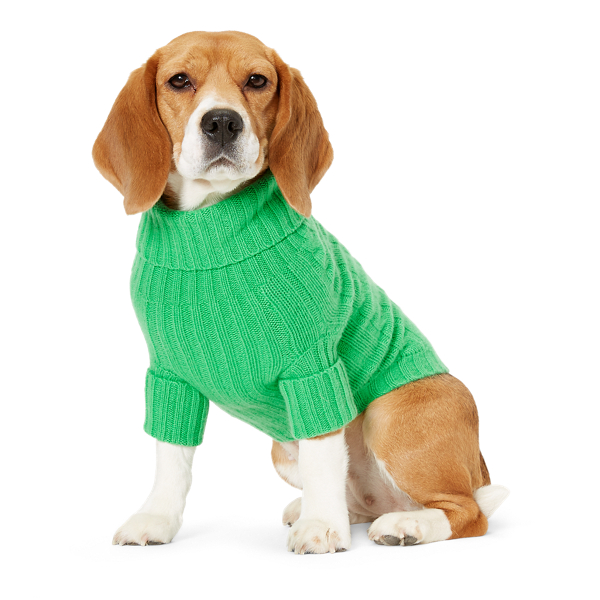 Green Bean Cable Cashmere Dog Sweater Ralph Lauren Pet 1