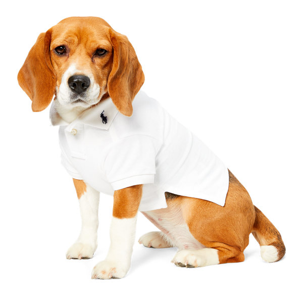White Cotton Mesh Dog Polo Ralph Lauren Pet 1