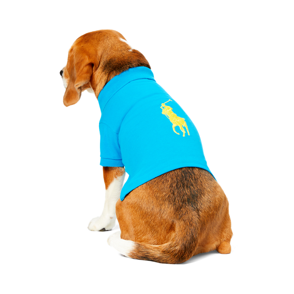 Hawaiin Ocean Big Pony Mesh Dog Polo Ralph Lauren Pet 2