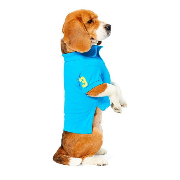 Hawaiin Ocean Big Pony Mesh Dog Polo Ralph Lauren Pet 3