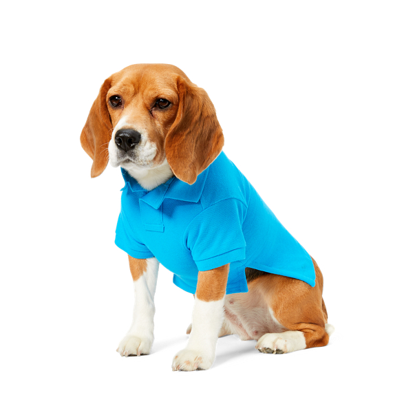 Hawaiin Ocean Big Pony Mesh Dog Polo Ralph Lauren Pet 1