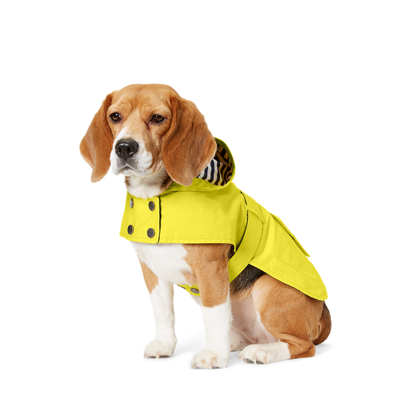 Hooded Dog Raincoat Ralph Lauren BR