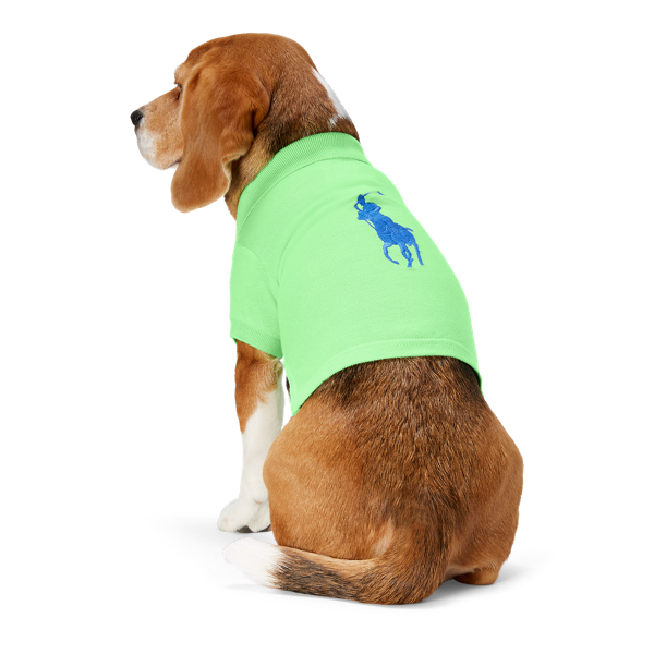 New Lime Big Pony Mesh Dog Polo Shirt Ralph Lauren Pet 2