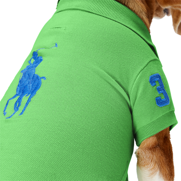 New Lime Big Pony Mesh Dog Polo Shirt Ralph Lauren Pet 3