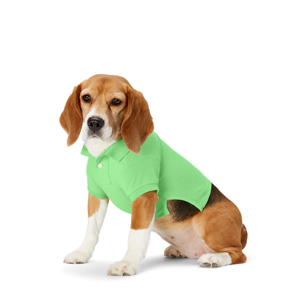 Piqu&eacute;-Polo mit Big Pony f&uuml;r Hunde Ralph Lauren Pet in 1