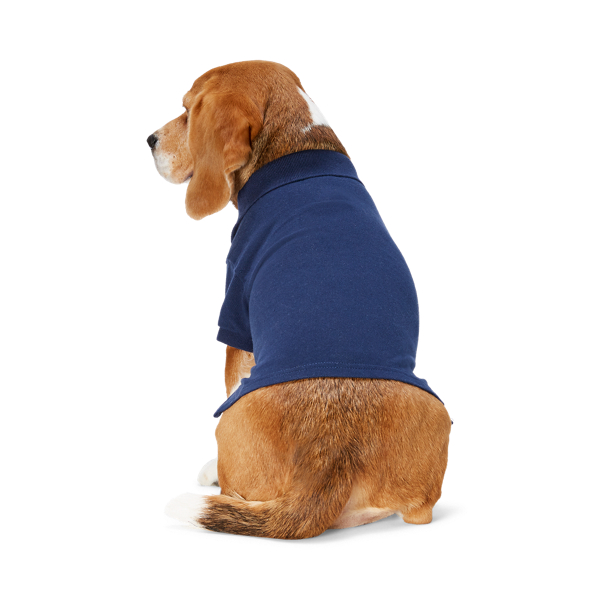 Newport Navy Cotton Mesh Dog Polo Shirt Ralph Lauren Pet 2
