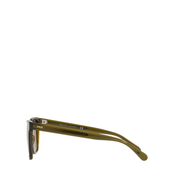 University Sunglasses Polo Ralph Lauren em Olive 3
