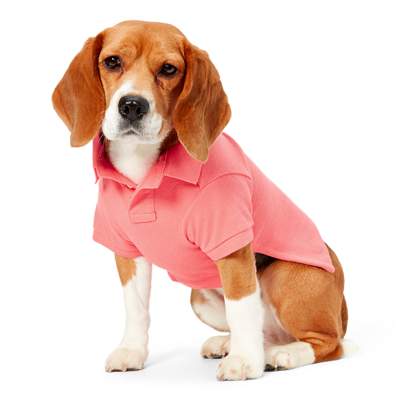 Dolce Pink Big Pony Mesh Dog Polo Shirt Ralph Lauren Pet 1