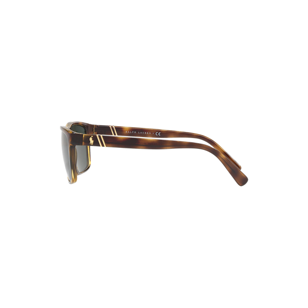 Havana Regimental Sunglasses Polo Ralph Lauren 3