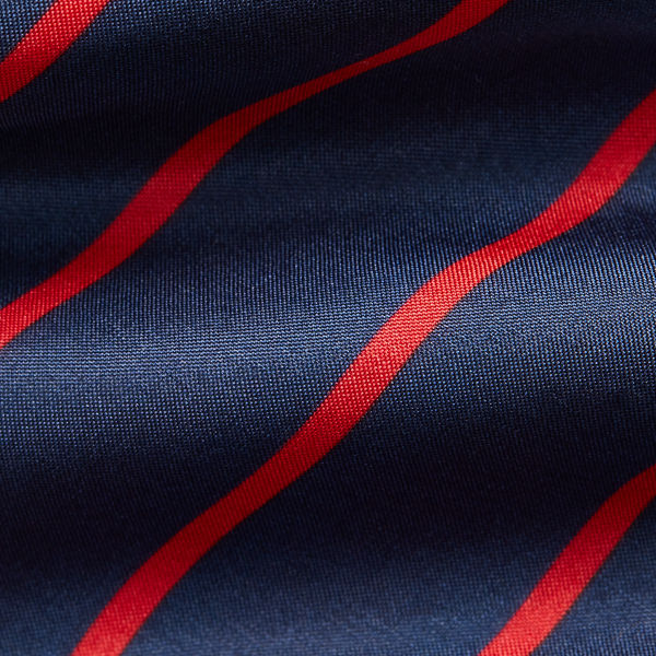 Navy/Red Striped Silk Habotai Tie Purple Label 3
