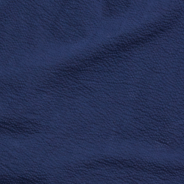 Astoria Navy Slim Fit Seersucker Shirt Polo Ralph Lauren 8