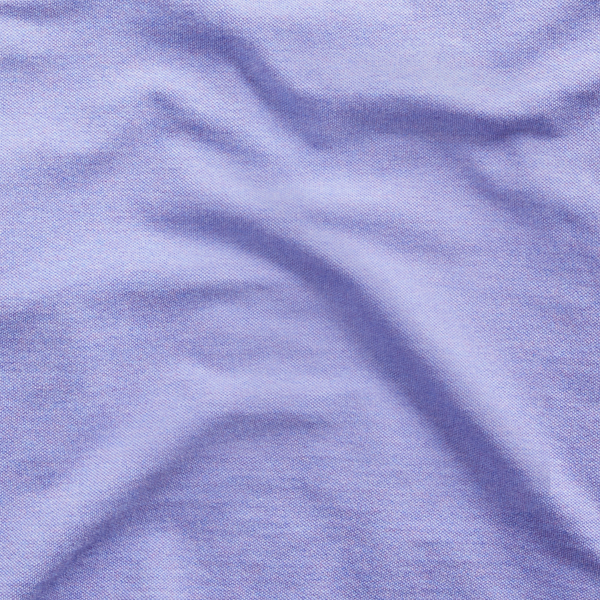 Maidstone Purple Heather/ The Iconic Mesh Polo Shirt Polo Ralph Lauren 8
