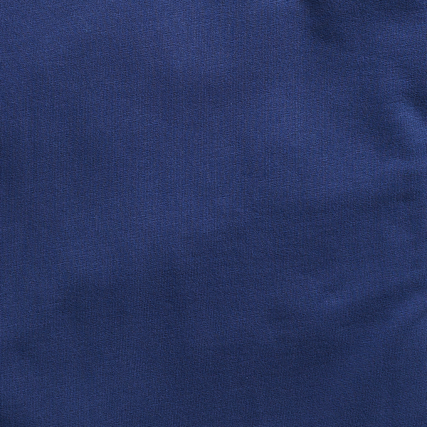 Dark Cobalt Graphic Hoodie Polo Ralph Lauren 7
