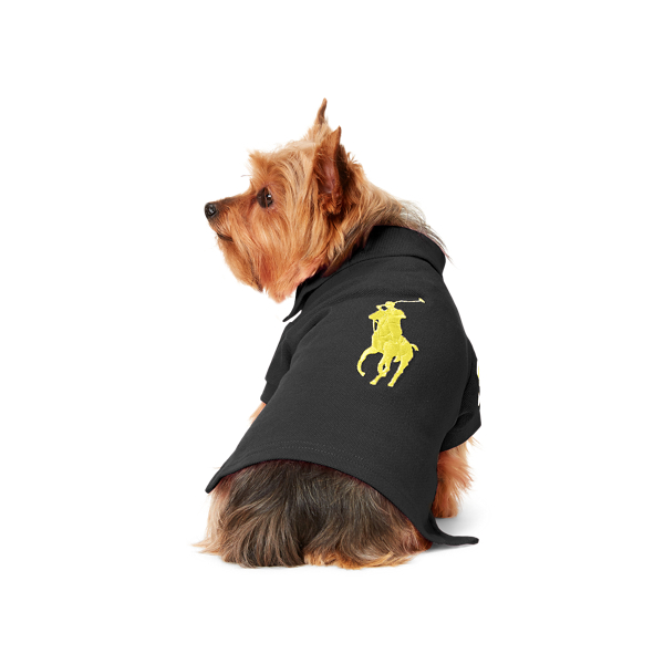 Ralph lauren dog hoodie online