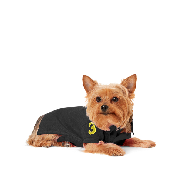 Polo Black Big Pony Mesh Dog Polo Shirt Ralph Lauren Pet 3