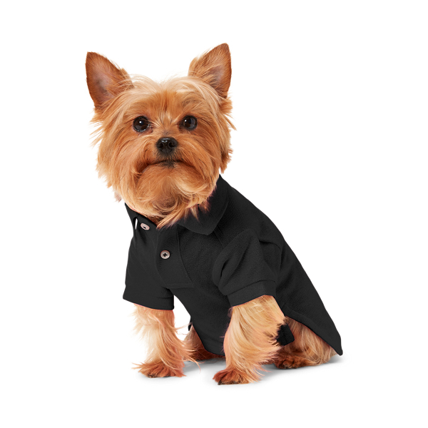 Ralph lauren dog hoodie clearance