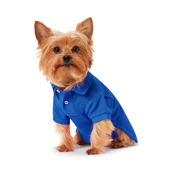 Polo ralph lauren dog shirt hotsell