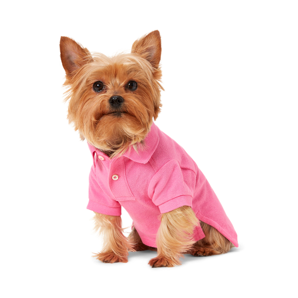 Big Pony Mesh Dog Polo Shirt Ralph Lauren Pet 1