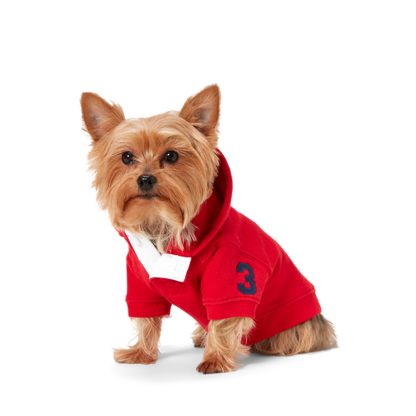 Polo dog hoodie sale