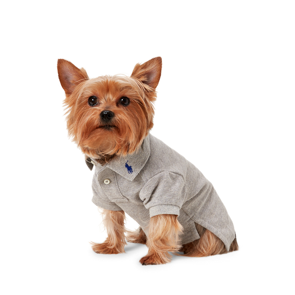 Dark Sport Heather Cotton Mesh Dog Polo Shirt Ralph Lauren Pet 1