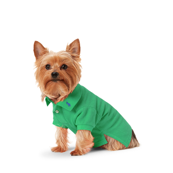 Ralph lauren dog polo hotsell