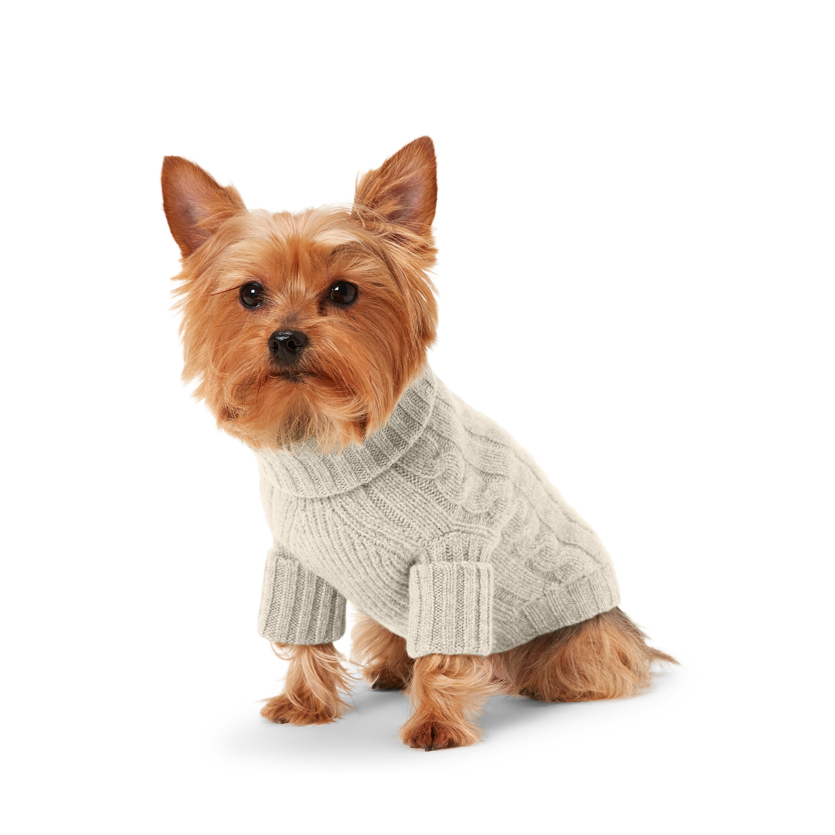 Cable Cashmere Dog Sweater Ralph Lauren