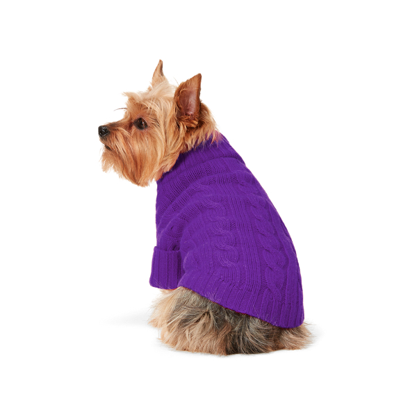 Cable Cashmere Dog Sweater