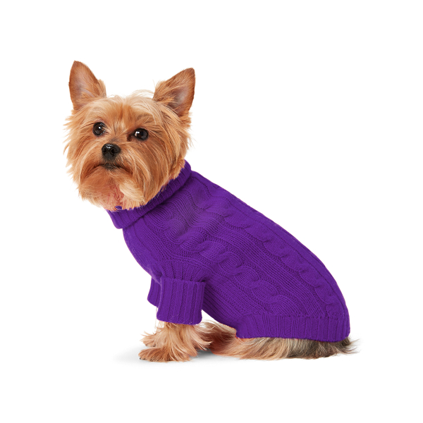 Cable Cashmere Dog Sweater