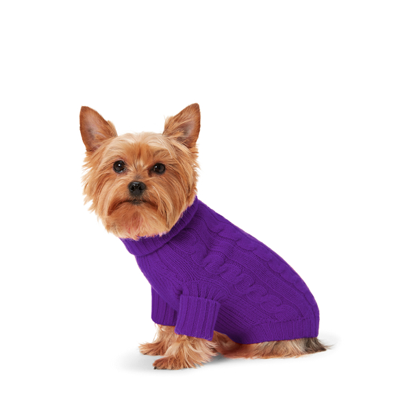Cable Cashmere Dog Sweater