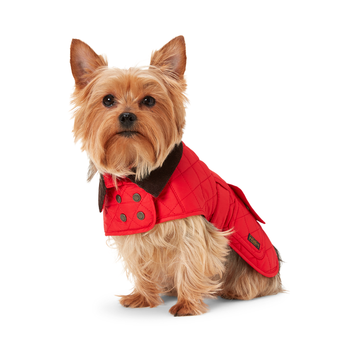 Fleece Lined Dog Barn Jacket Ralph Lauren