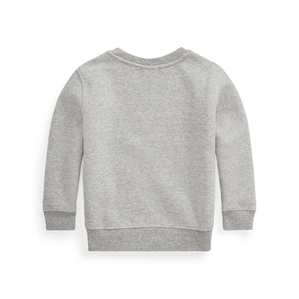 Andover Heather Multi Polo Bear New York Fleece Sweatshirt Boys 2-7 2