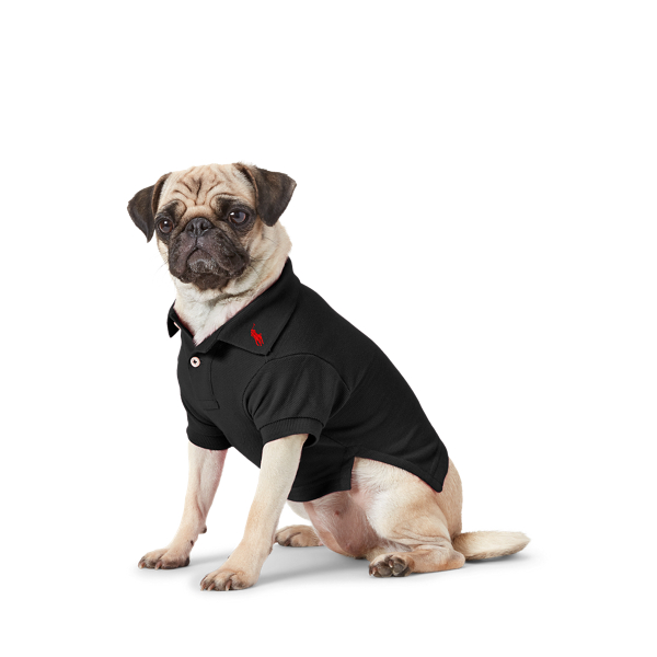 Cotton Mesh Dog Polo Shirt