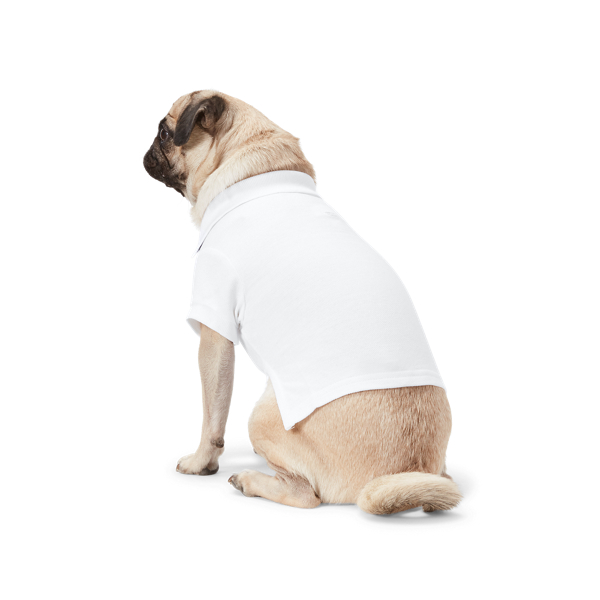 Ralph Lauren Pet コットン メッシュ ドッグ ポロシャツ ホワイト 2