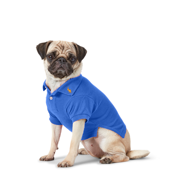 Cotton Mesh Dog Polo Shirt Ralph Lauren PY