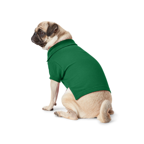 Hunde-Poloshirt aus Baumwollpiqu&eacute; Polo Ralph Lauren Home in Neues Waldgr&uuml;n 2