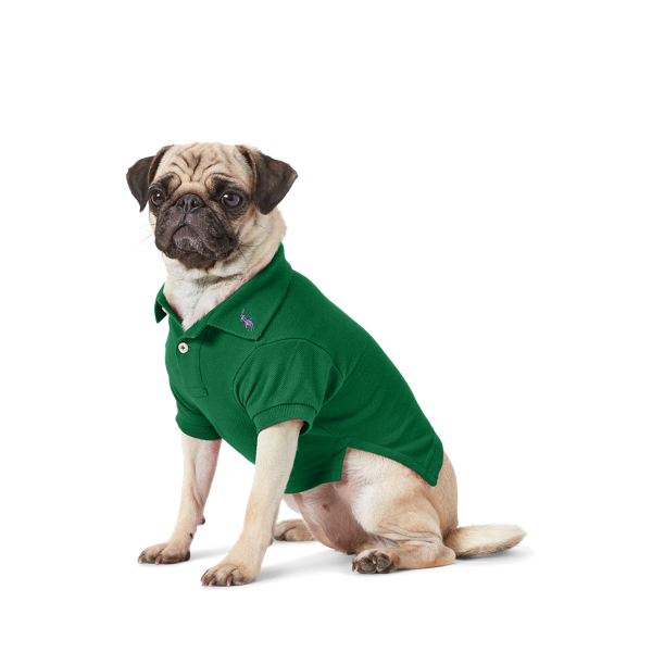 Hunde-Poloshirt aus Baumwollpiqu&eacute; Polo Ralph Lauren Home in Neues Waldgr&uuml;n 1