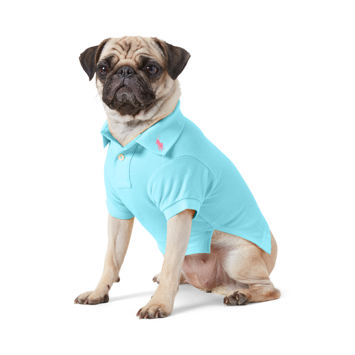 Pet polo ralph lauren sale