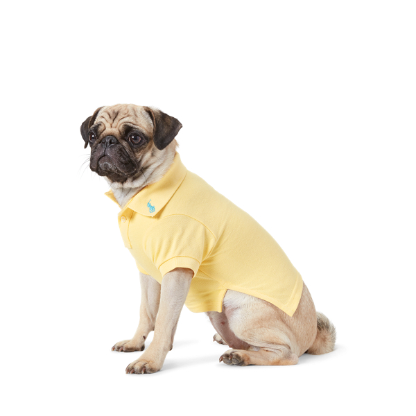 Cotton Mesh Dog Polo Shirt