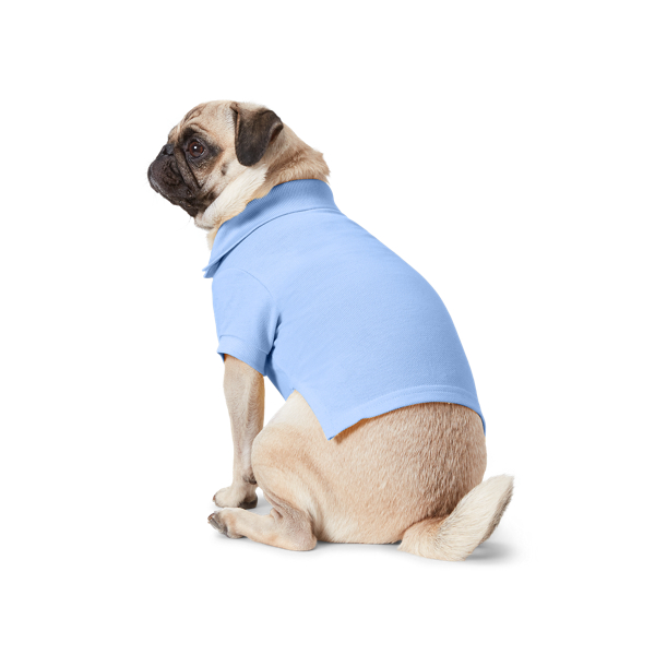 Harbor Island Blue Cotton Mesh Dog Polo Shirt Ralph Lauren Pet 2