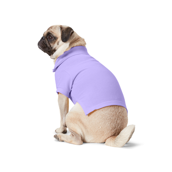 Cotton Mesh Dog Polo Shirt