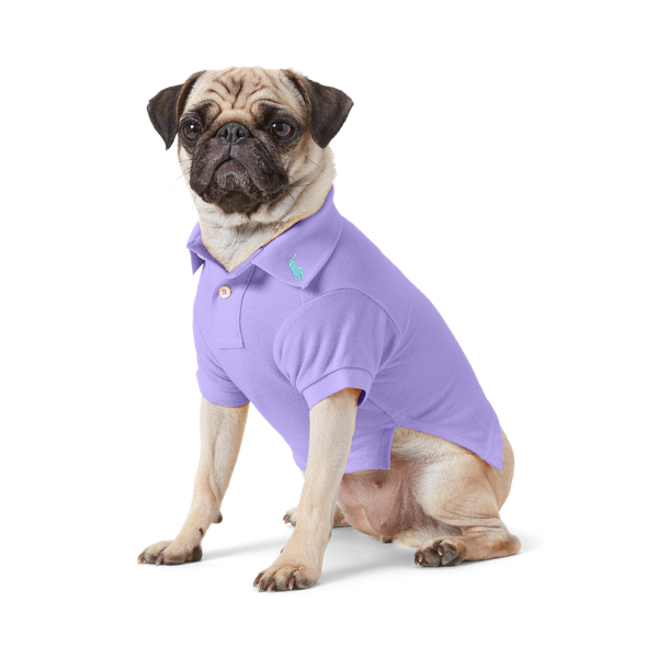 Cotton Mesh Dog Polo Shirt Ralph Lauren CH