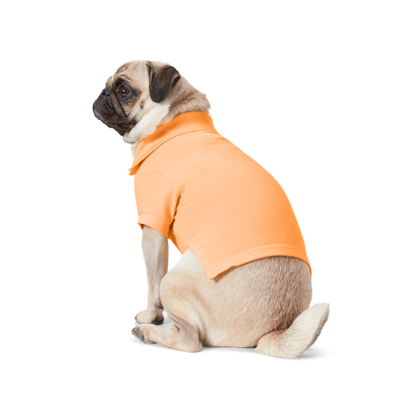 Cotton Mesh Dog Polo Shirt