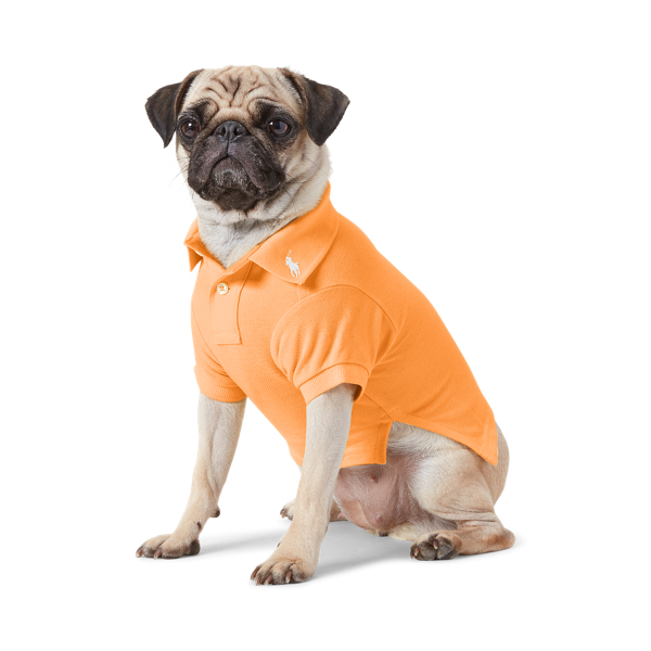 Cotton Mesh Dog Polo Shirt
