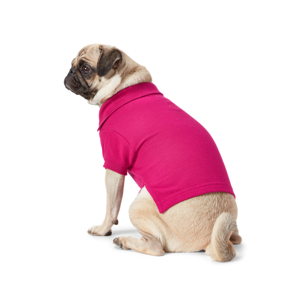 Cotton Mesh Dog Polo Shirt