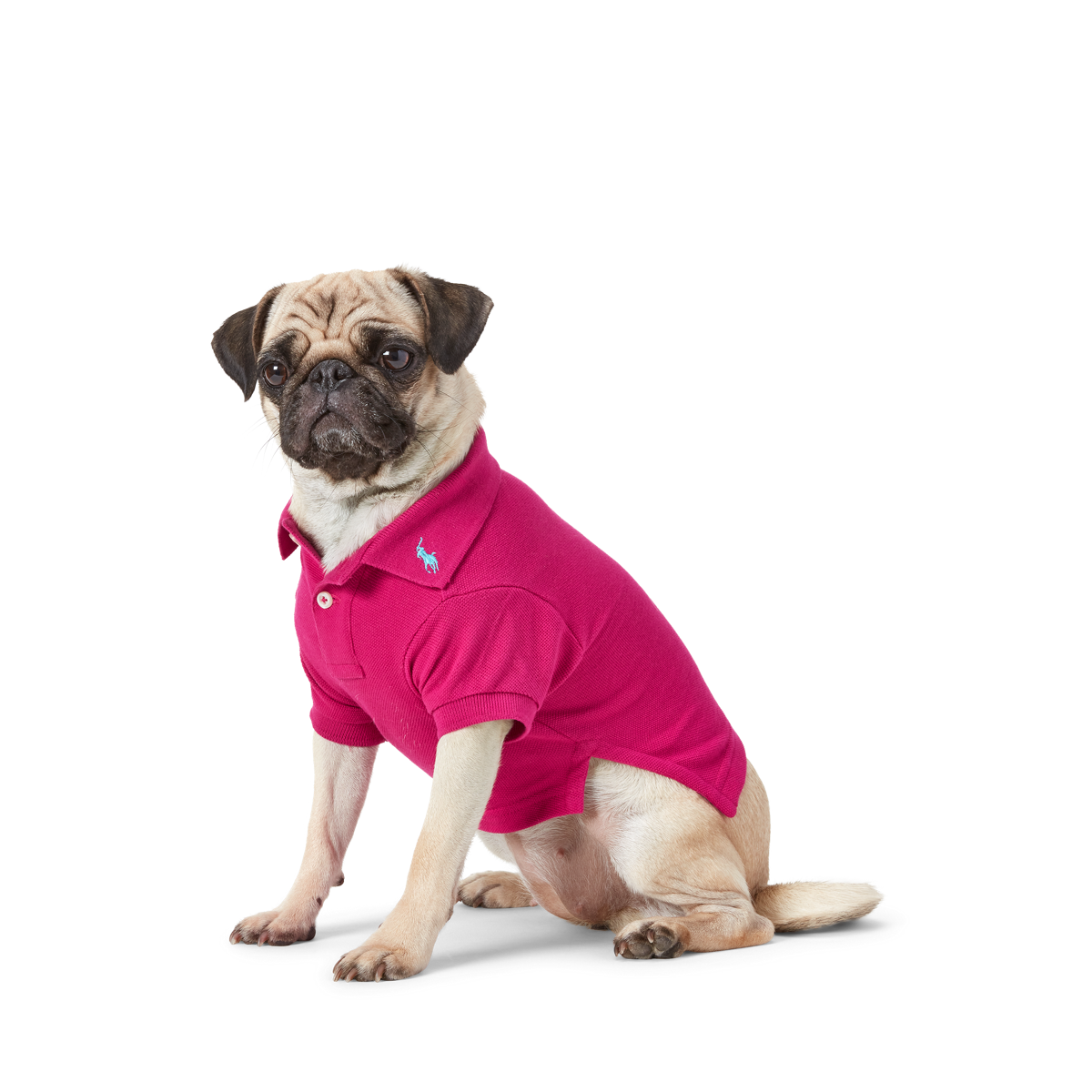 Cotton Mesh Dog Polo Shirt | Ralph Lauren